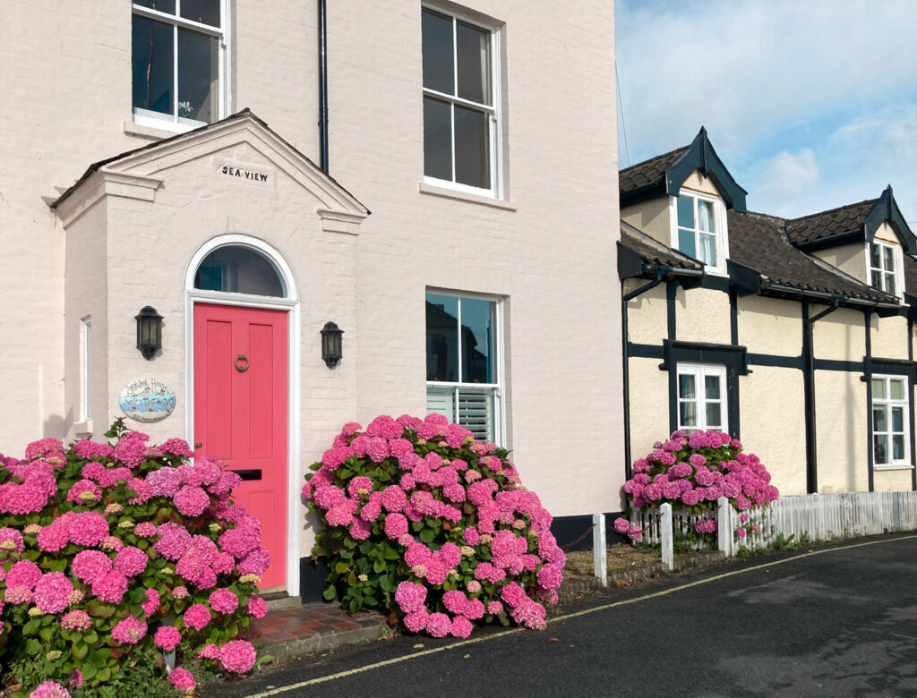 The front of a house with a pink door, with flowering pink hydrangea bushes on either side.