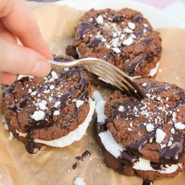 Microwave Meringues & Dark Chocolate Cookies