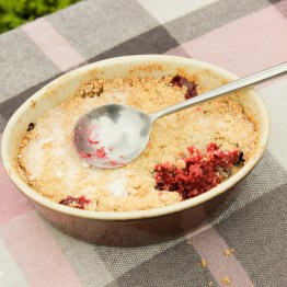 Cherry & Plum Crumble