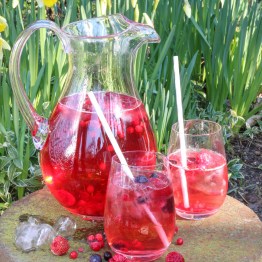Fruity Punch Recipe